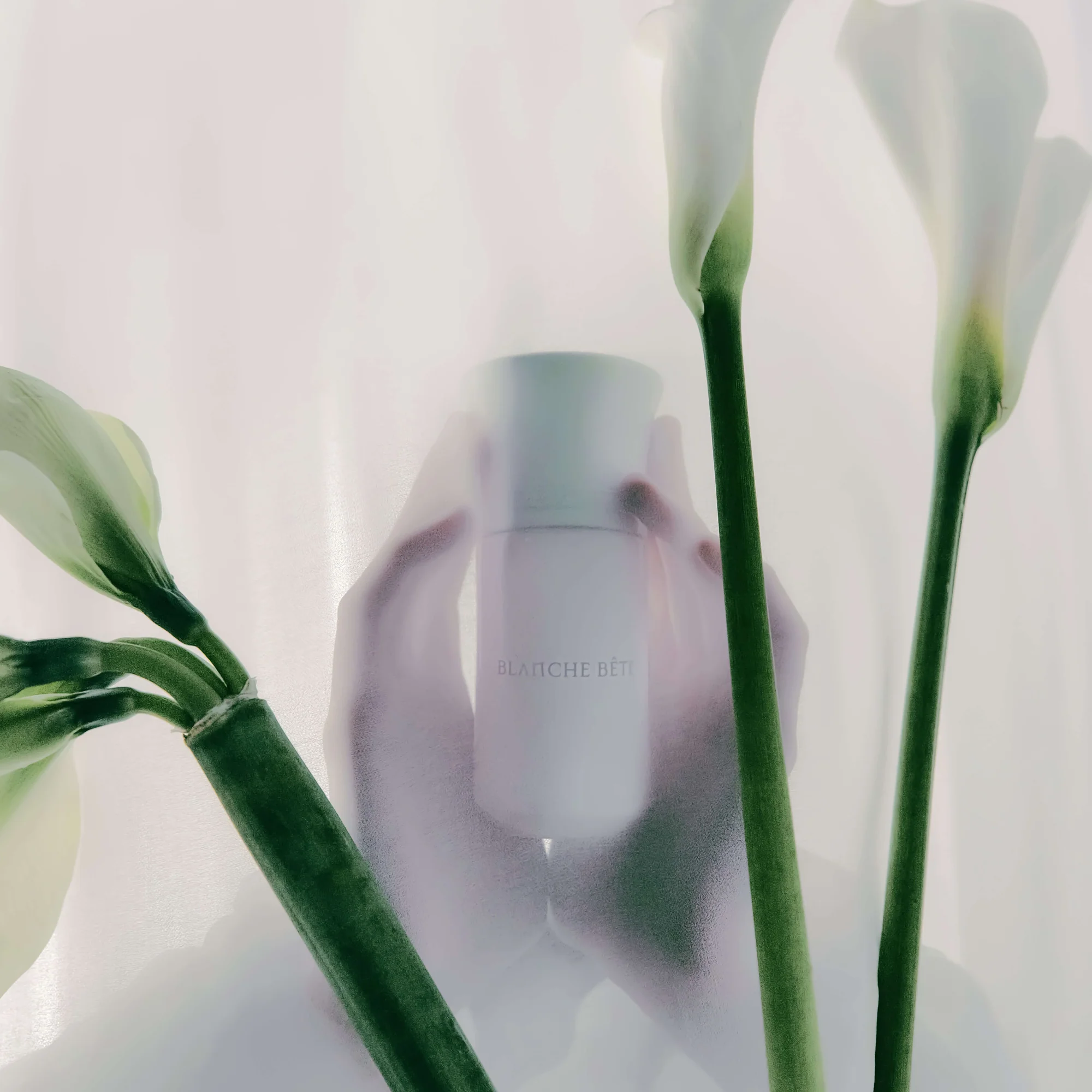 Blanche Bête Limited Edition - Image 4